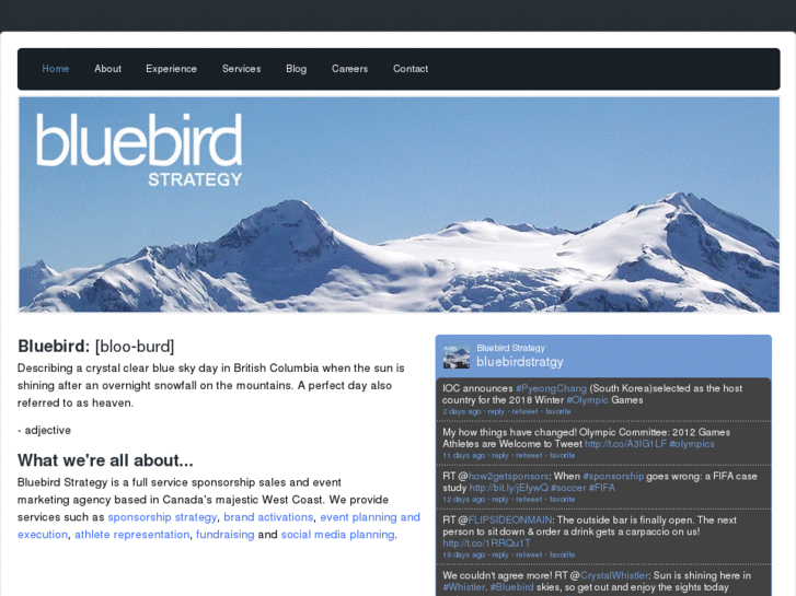 www.bluebird-strategy.com