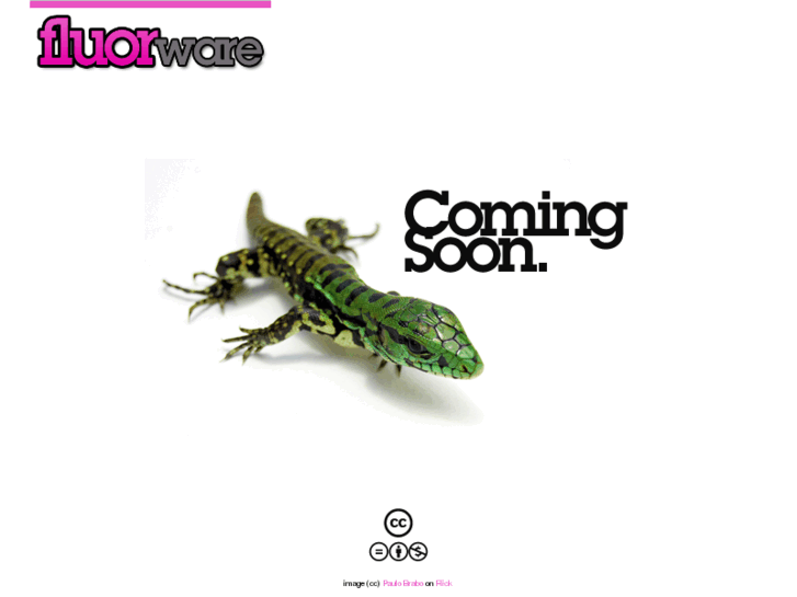 www.fluorware.com