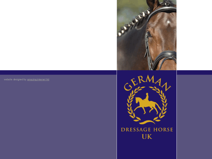 www.germandressagehorseuk.com