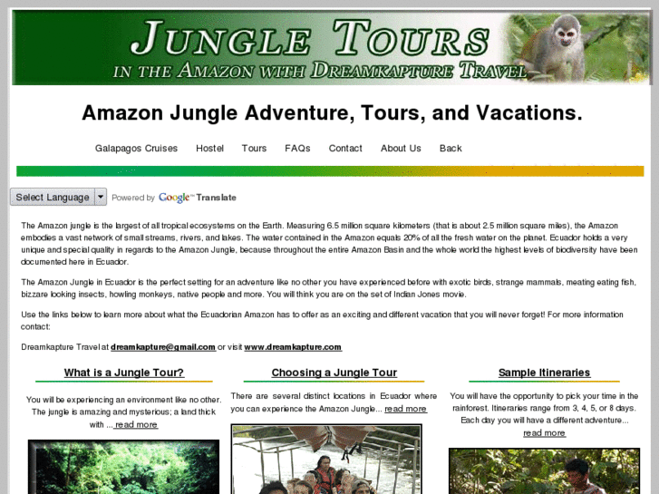 www.jungleamazon.com