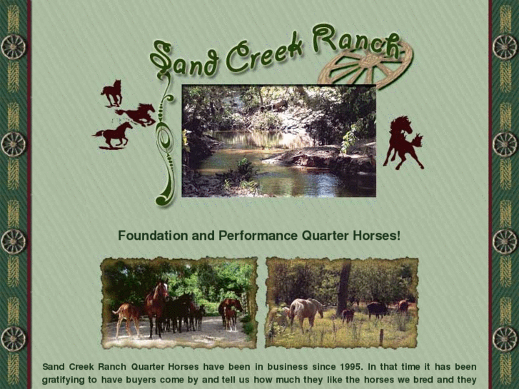 www.sandcreekquarterhorses.com