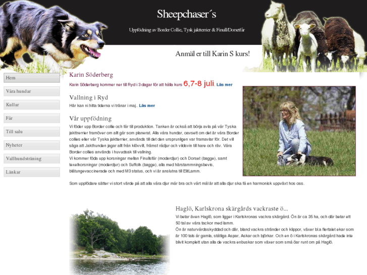 www.sheepchaser.com