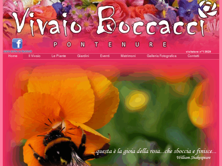 www.vivaioboccacci.it