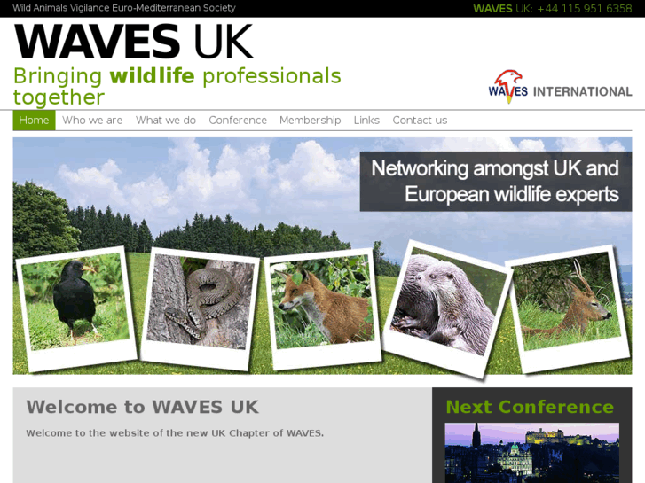 www.wavesuk.org