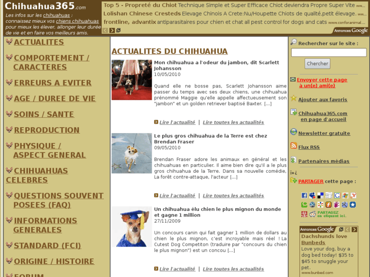 www.chihuahua365.com