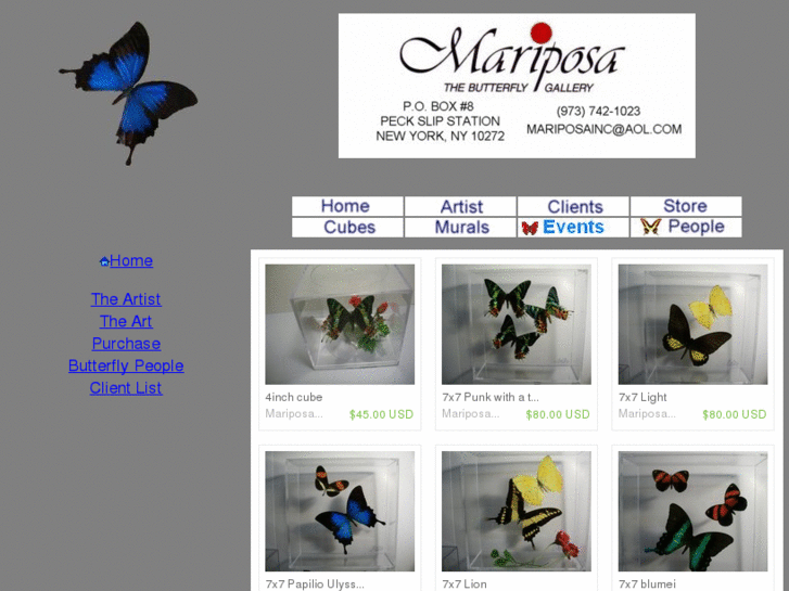 www.mariposathebutterflygallery.com