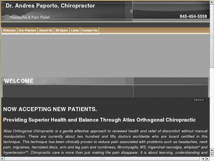 www.paportochiropractic.com