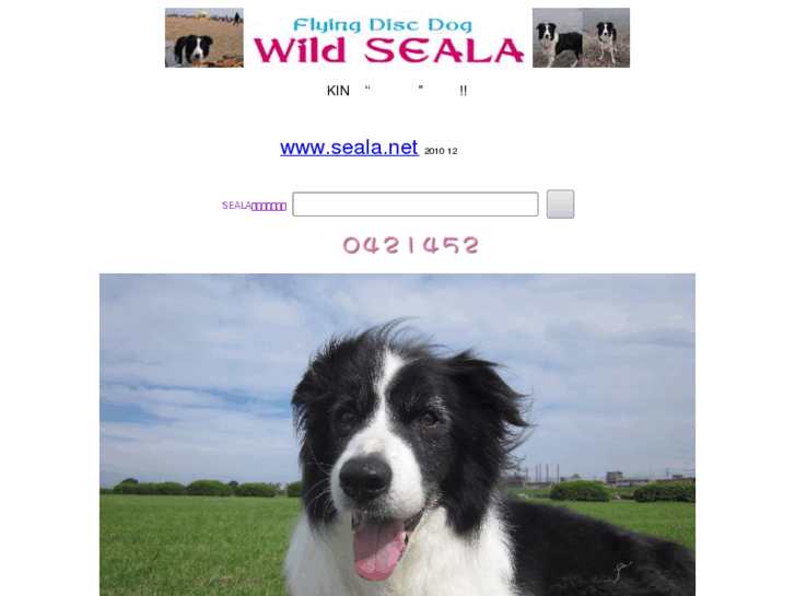 www.seala.net