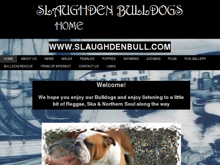 www.slaughdenbull.com