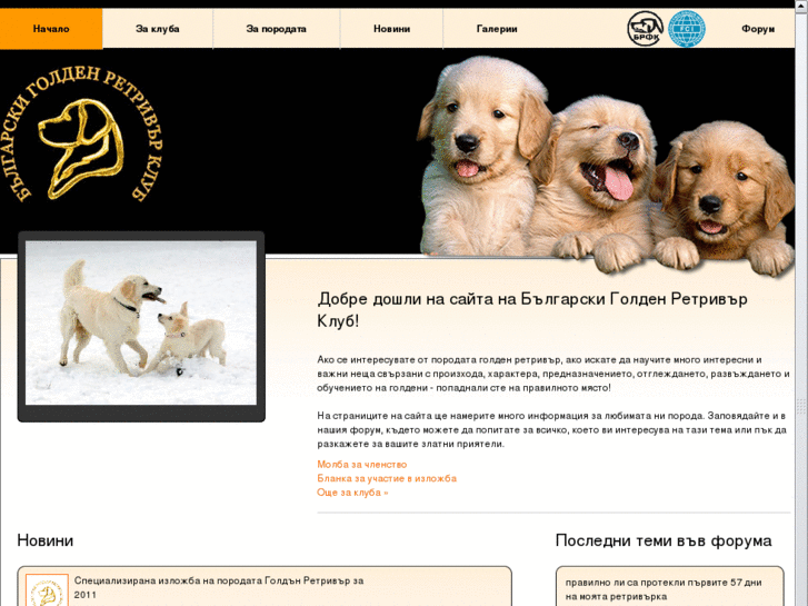 www.bulgoldens.com