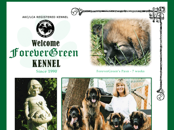 www.forevergreenleonbergers.com