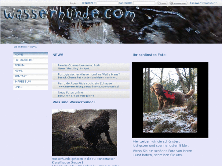 www.wasserhunde.com