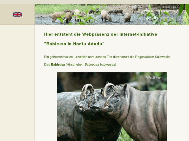 www.babirusa.org