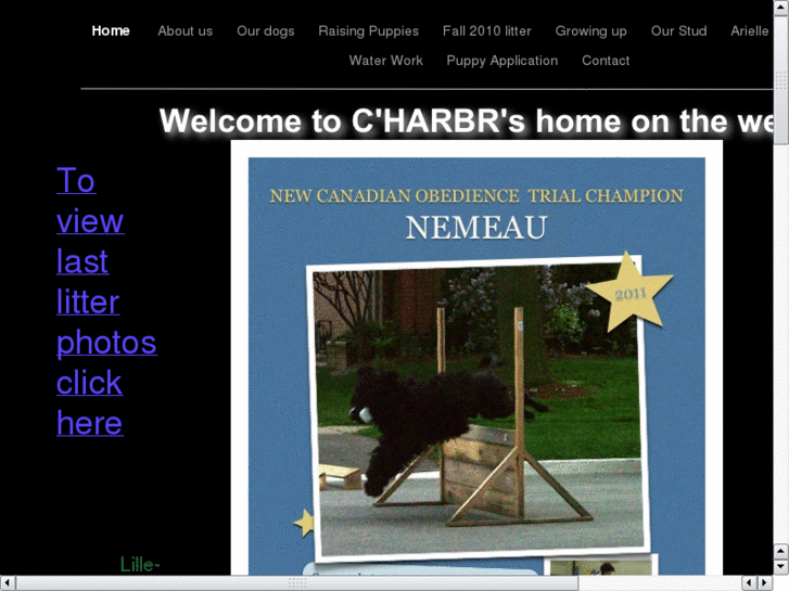 www.charbr.com