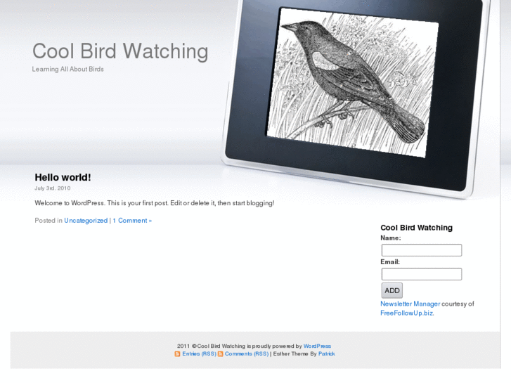 www.coolbirdwatching.com