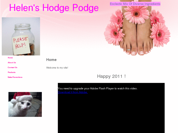 www.helenshodgepodge.com