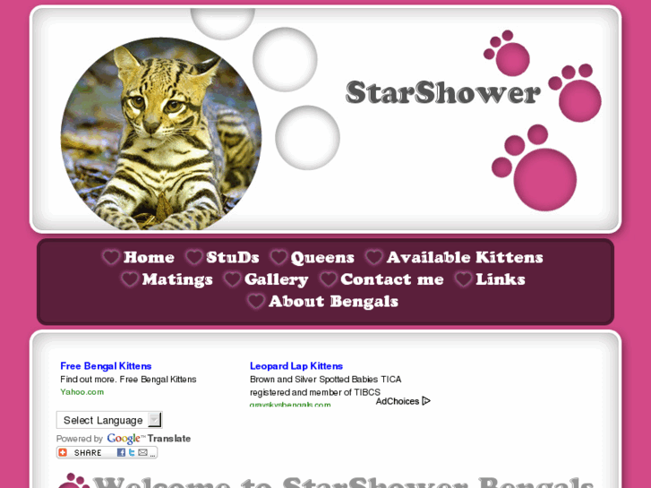 www.starshowerbengals.com