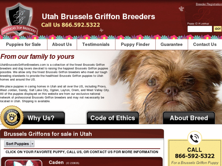 www.utahbrusselsgriffonbreeders.com