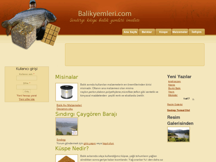 www.balikyemleri.com