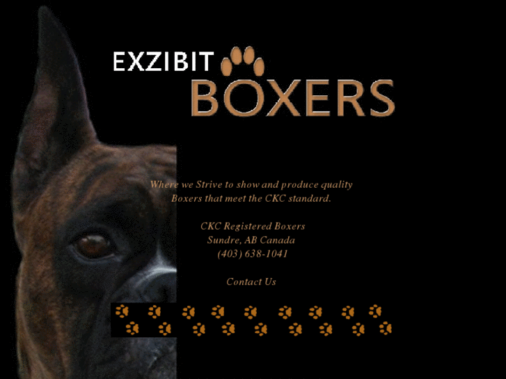 www.exzibitboxers.com