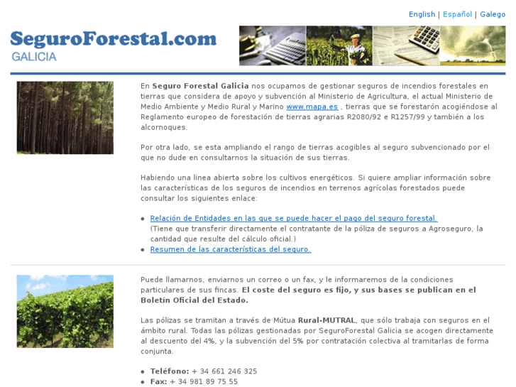 www.seguroforestal.com