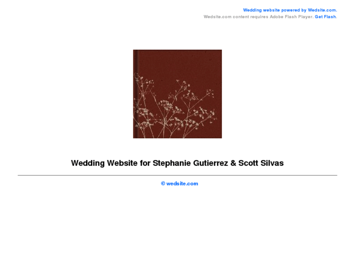 www.stephanieandscott.com