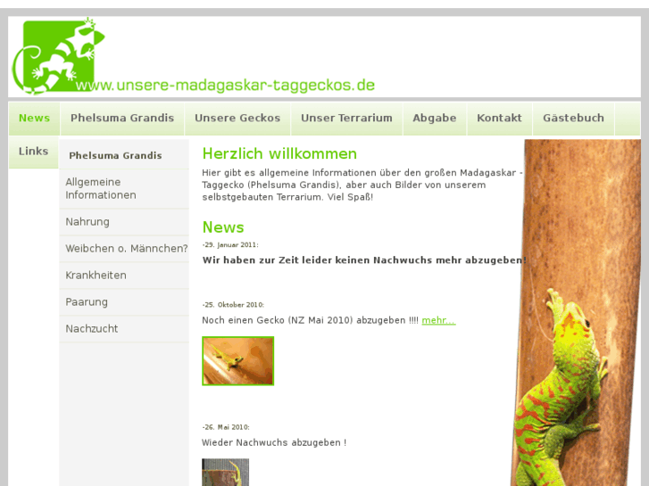 www.unsere-madagaskar-taggeckos.de