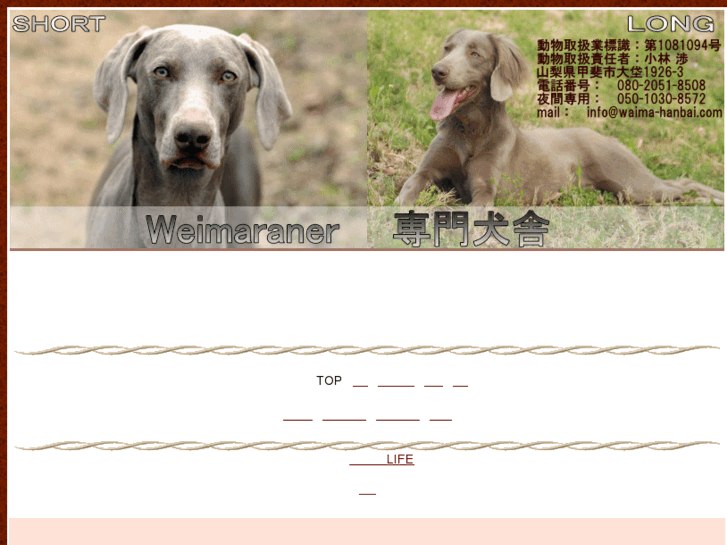 www.waima-hanbai.com