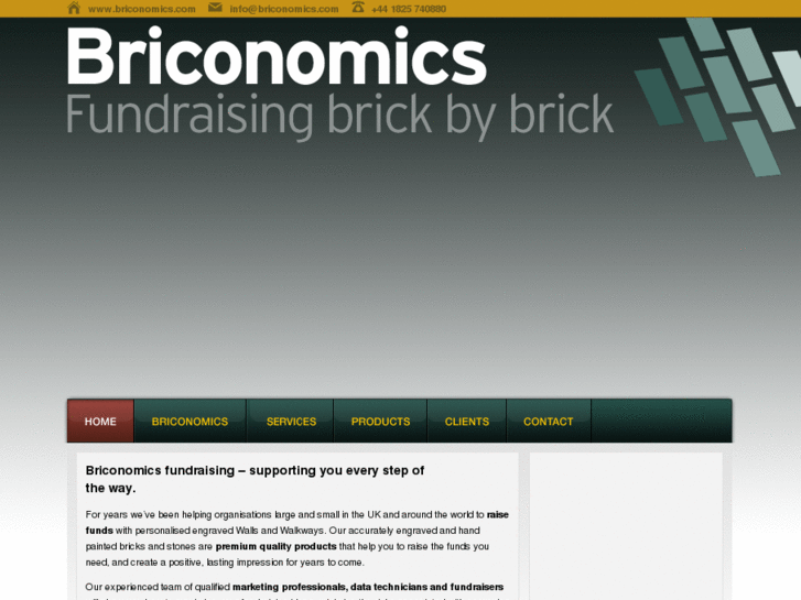 www.briconomics.com