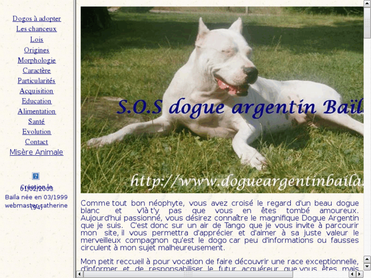 www.dogueargentinbaila.com