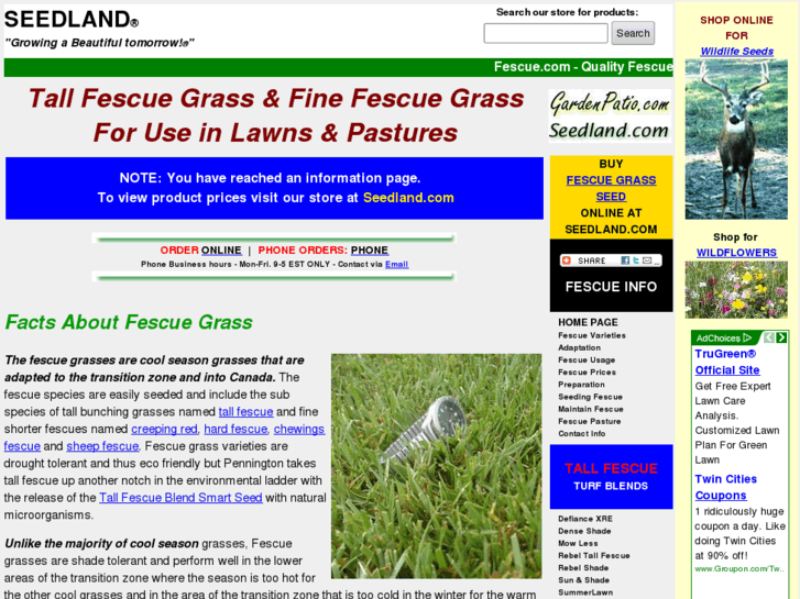 www.fescue.com