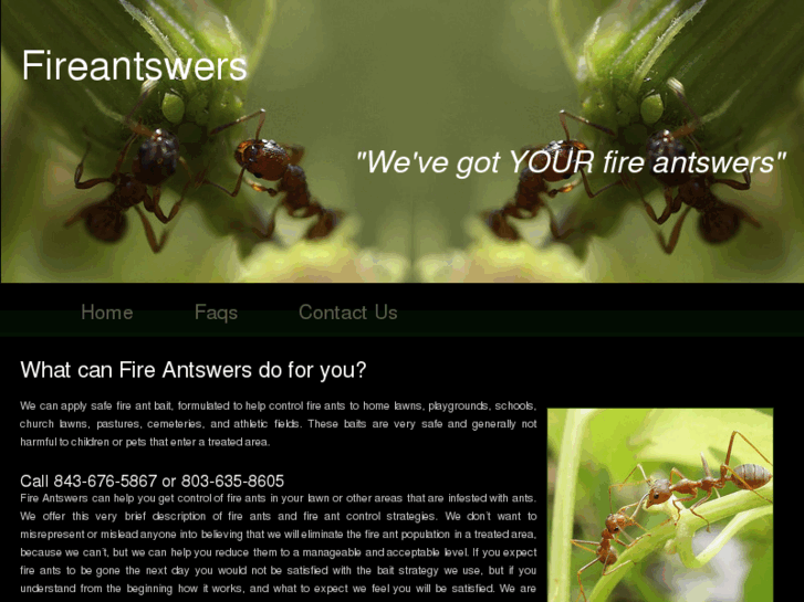 www.fireantswers.com