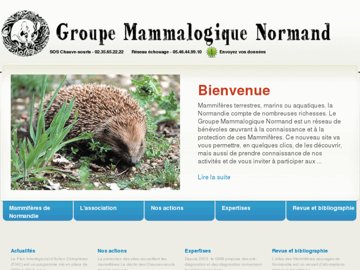 www.gmn.asso.fr