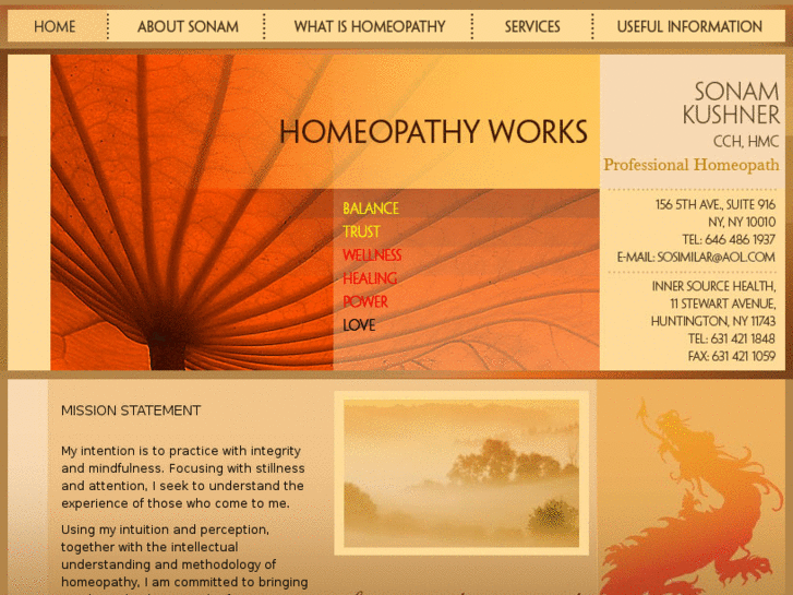 www.homeopathyworksnyc.com