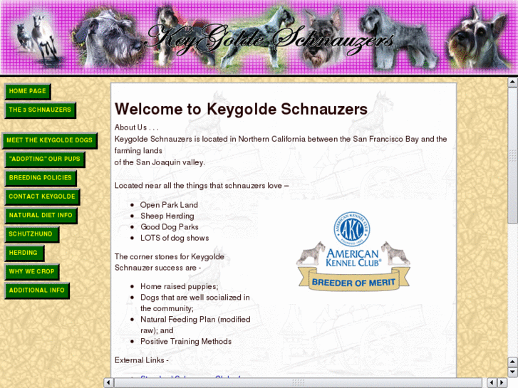 www.keygoldeschnauzers.com