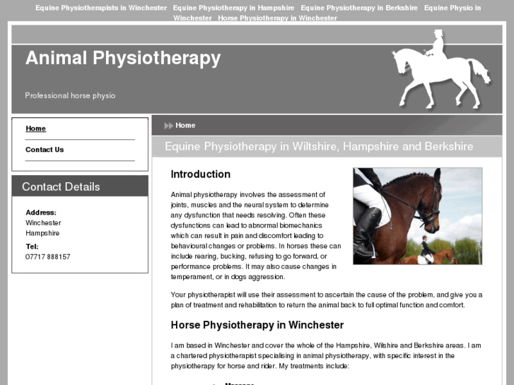 www.physiotherapy-equine.com