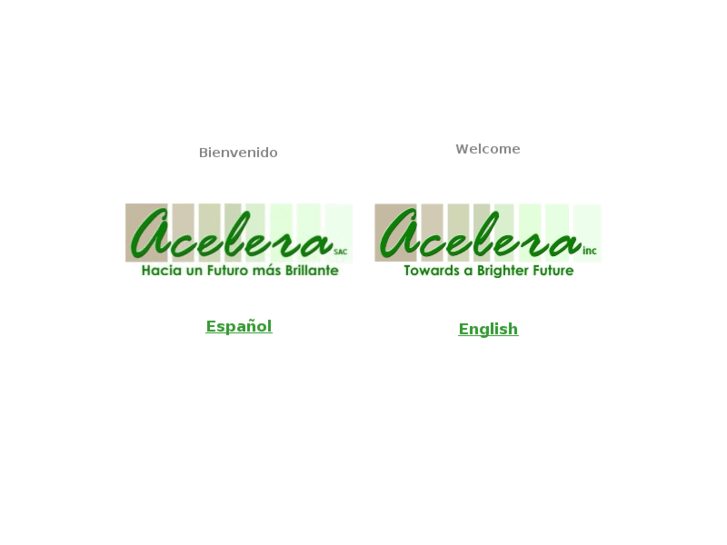 www.acelera-inc.com