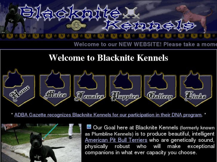 www.blacknitekennels.com