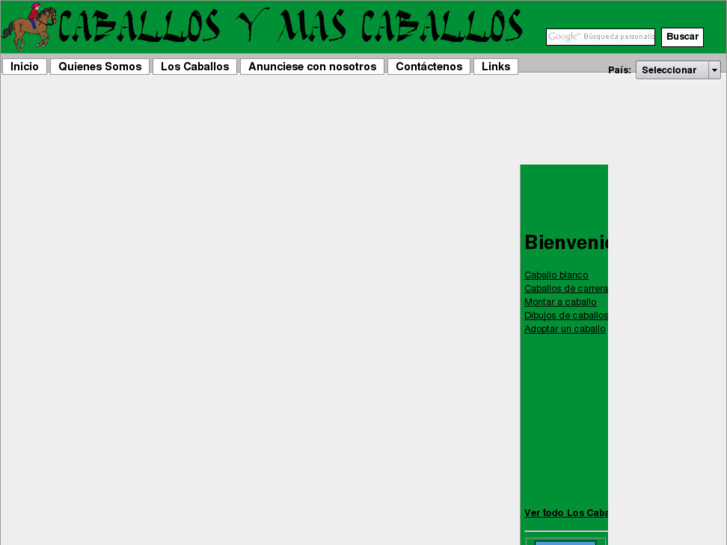www.caballosymascaballos.com