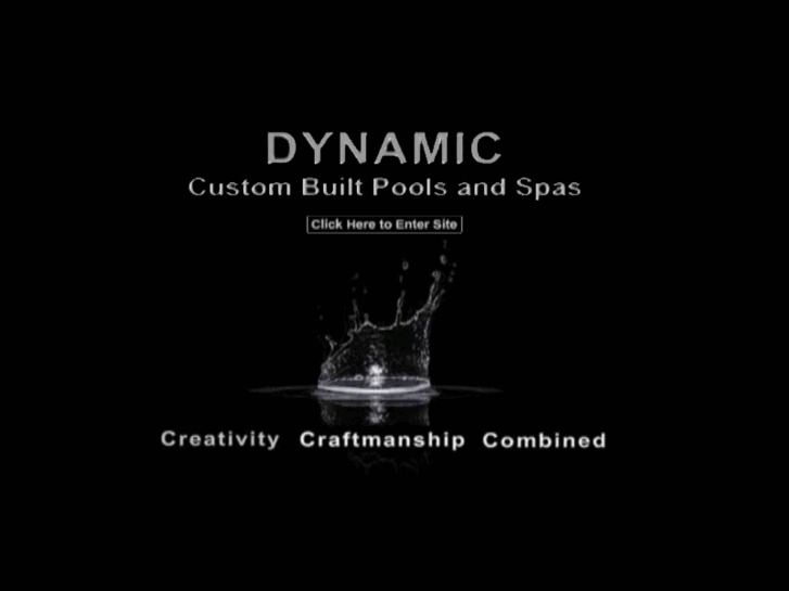 www.dynamicpoolandspaconstruction.com