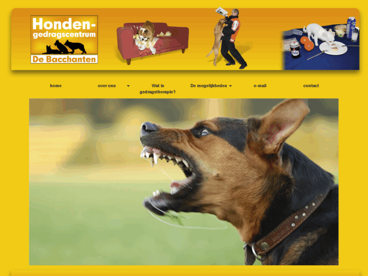 www.honden-gedragscentrum.nl