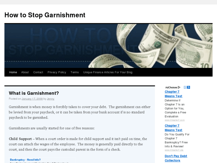 www.howtostopgarnishment.com