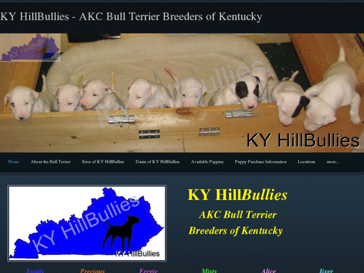 www.kyhillbullies.com