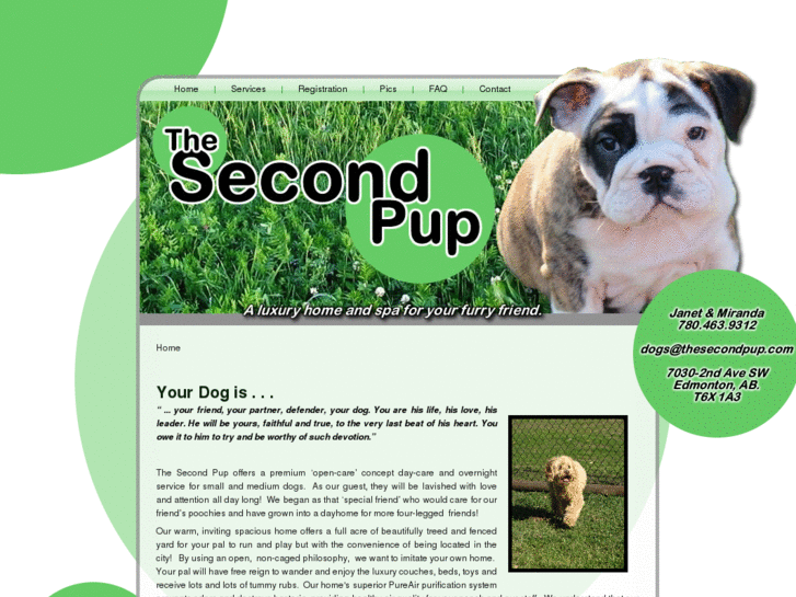 www.thesecondpup.com