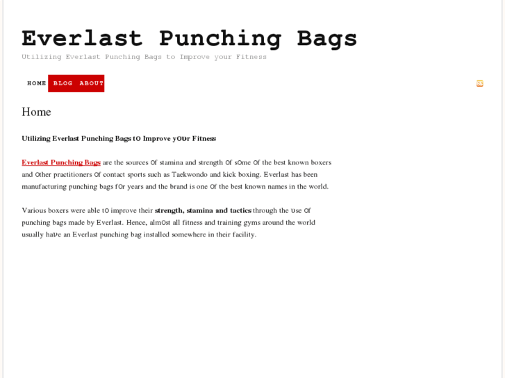 www.everlastpunchingbags.com