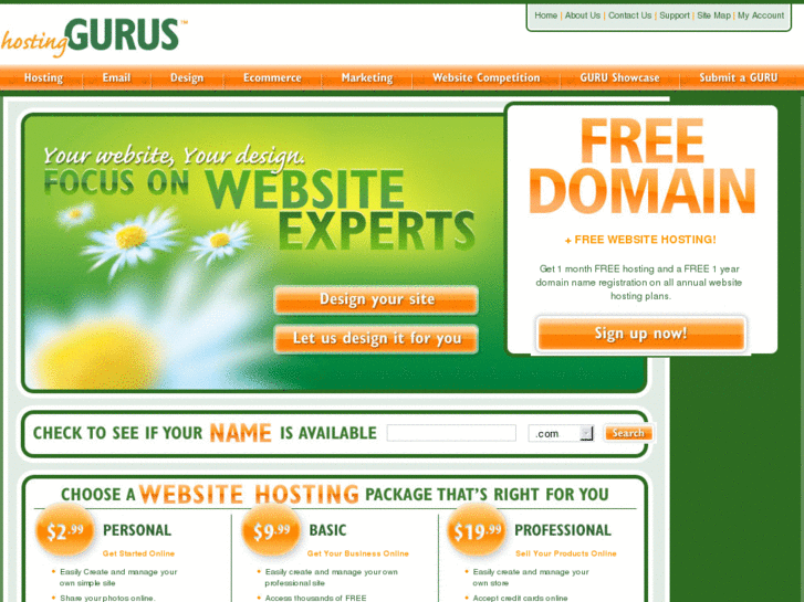 www.hostinggurus.net