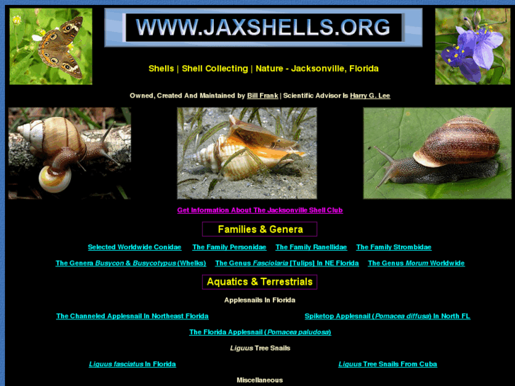 www.jaxshells.org