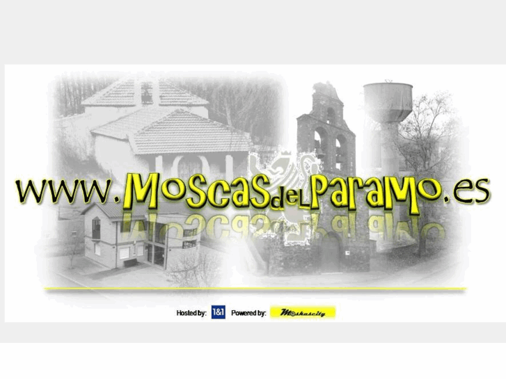 www.moscasdelparamo.es