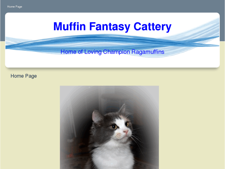 www.muffinfantasy.com