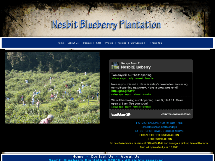 www.nesbitblueberry.com